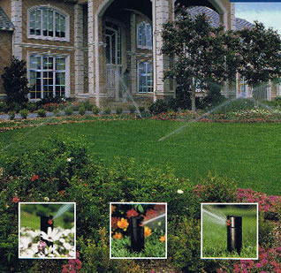 Shipshape Landscape Inc service