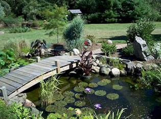 Shipshape Landscape Inc service